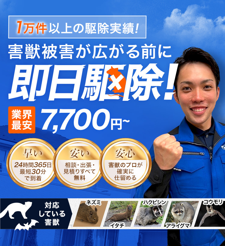 1万件異常の駆除実績!害獣被害が広がる前に即日駆除!業界最安7,700円～ 早い・安い・安心 対応している害獣：ネズミ、イタチ、ハクビシン、アライグマ、コウモリ